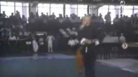 Li ziming Bagua Dao