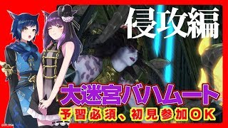 【FF14 CQ】大迷宮バハムート：侵攻編2層♡ #しずりん生放送