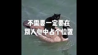 201604 不需要一定要在别人心中占个位置21745