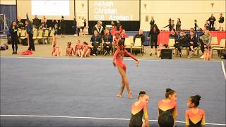 2017 SoCal State Level 4 first place floor routine (AA Champion 38.225)