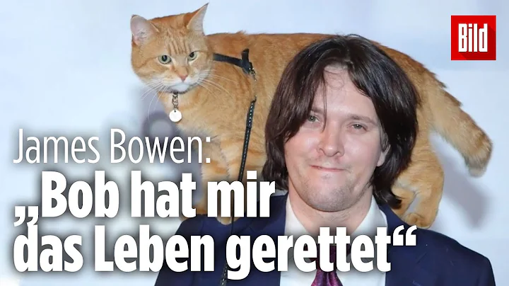 Bob, der Streuner ist gestorben: James Bowens emot...