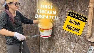 Butchering a Chicken BY MYSELF for the First Time | My first time dispatching a chicken | HWY1