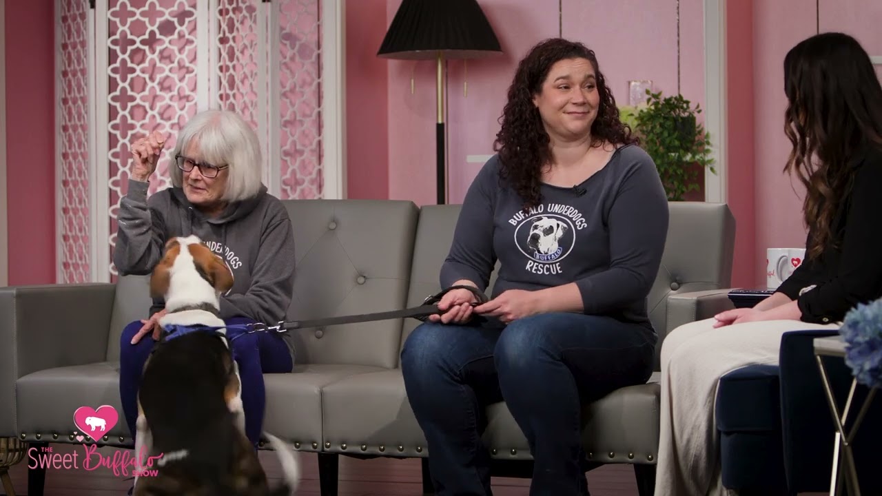 Buffalo Underdogs Rescue