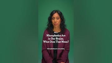 Microplastics Are in Our Brains. Here’s What to Do.