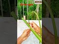 😎🙀🙄#funny #funnyshorts #funnyvideo #ফানি #ফানি #ফানি_ভিডিও