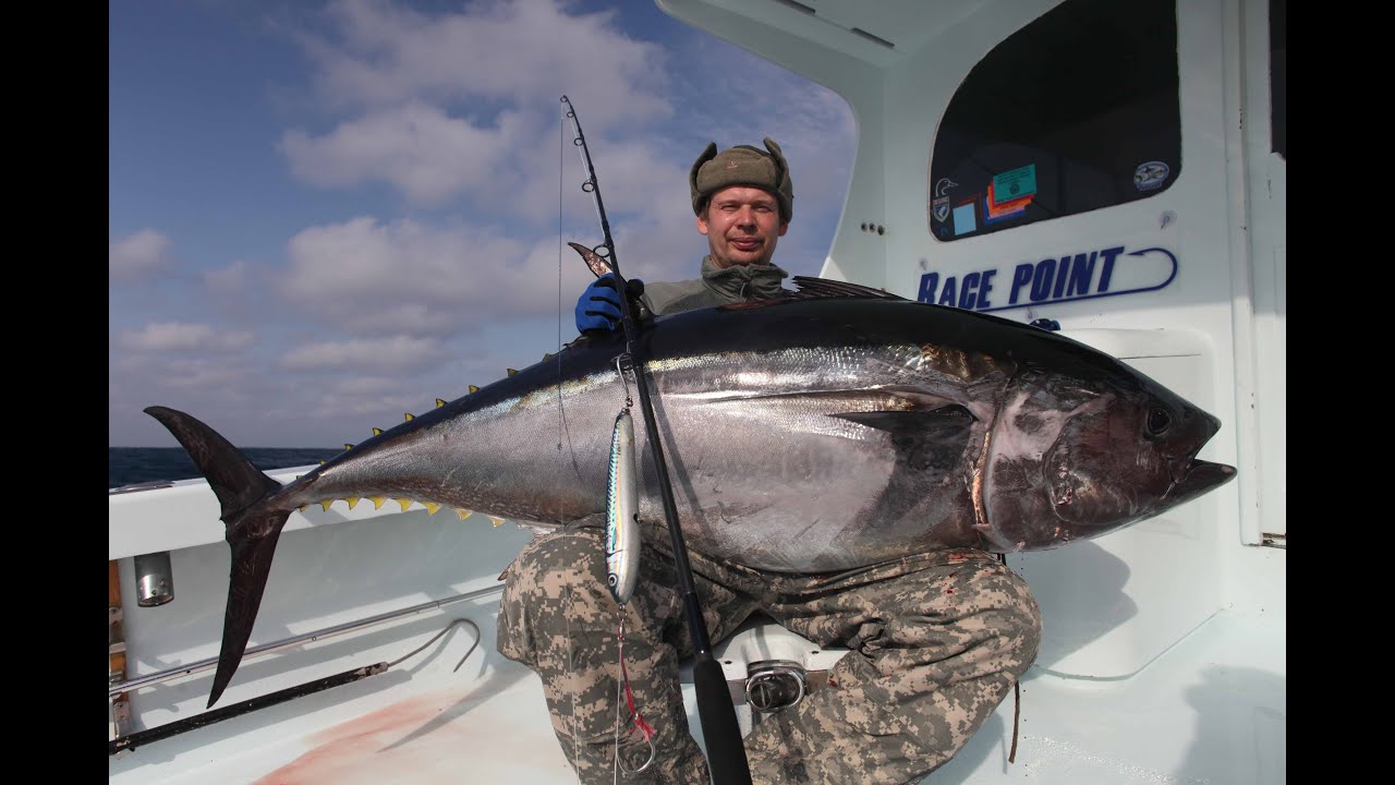 ⁣Ловля тунца в Северной Каролине.