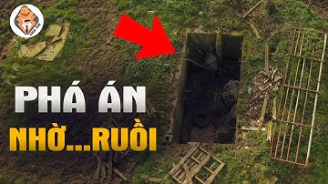 Phá Án Nhờ Ruồi - Bí Mật Từ Giếng Hoang - Tra Án