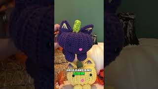 CUTE! Pumpkin Cat Crochet Project
