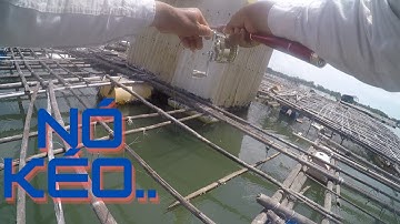 69/ Trời nắng đẹp , câu 3 giờ hơn , kết quả hơn mong đợi . Câu IKADA