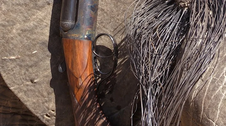 Buffalo / Tuskless (Elephant) Hunting Safari - Steve's Promo