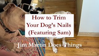 How to Trim Your Dogs Nails (Featuring Sam)