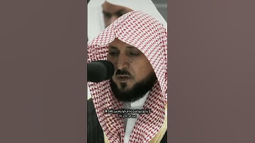 ﴿ادْخُلُوهَا بِسَلَامٍ آمِنِينَ﴾القارئ ماهر المعيقلي[سورة الحجر: 46 إلى 50] #قرآن #راحة_نفسية #quran