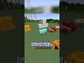 ゴーレムはどっちにできる？🤔 #マイクラ