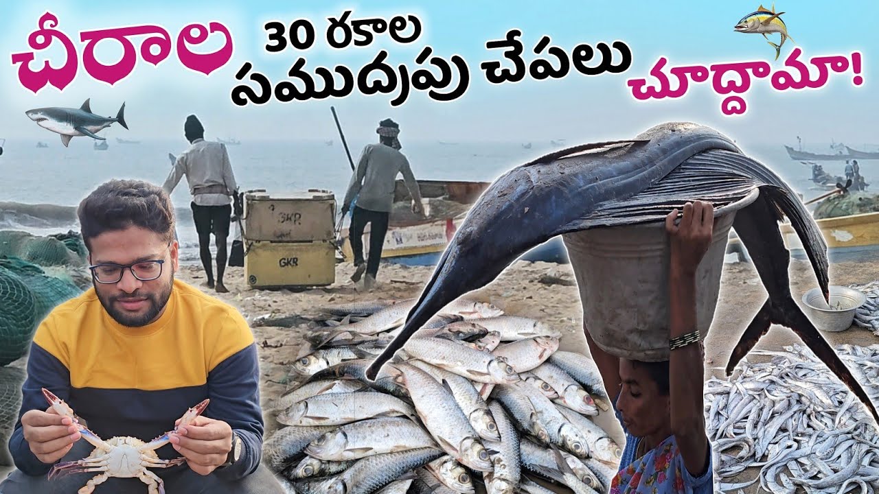 Chirala Fish Market 🐟🦈 Chirala Beach #teluguvlogs #seafood #streedfood #foodvlogs #shark #tunafish