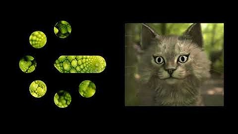 geoMusica video tutorial 1 - Basic Installation