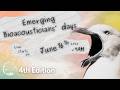 Emerging Bioacousticians Day 4th Edition June 16 2026 Morning 