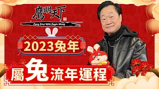 肖兔 2023兔年全年運程 | 事業 愛情 健康 財運 每月運程 | 《鷹明天下2023》