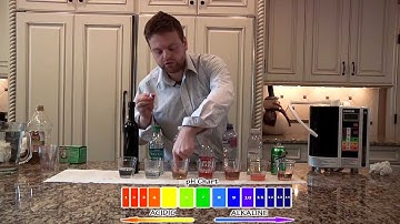 Kangen Water Demo Dan Rosenak Demonstrates Kangen Water