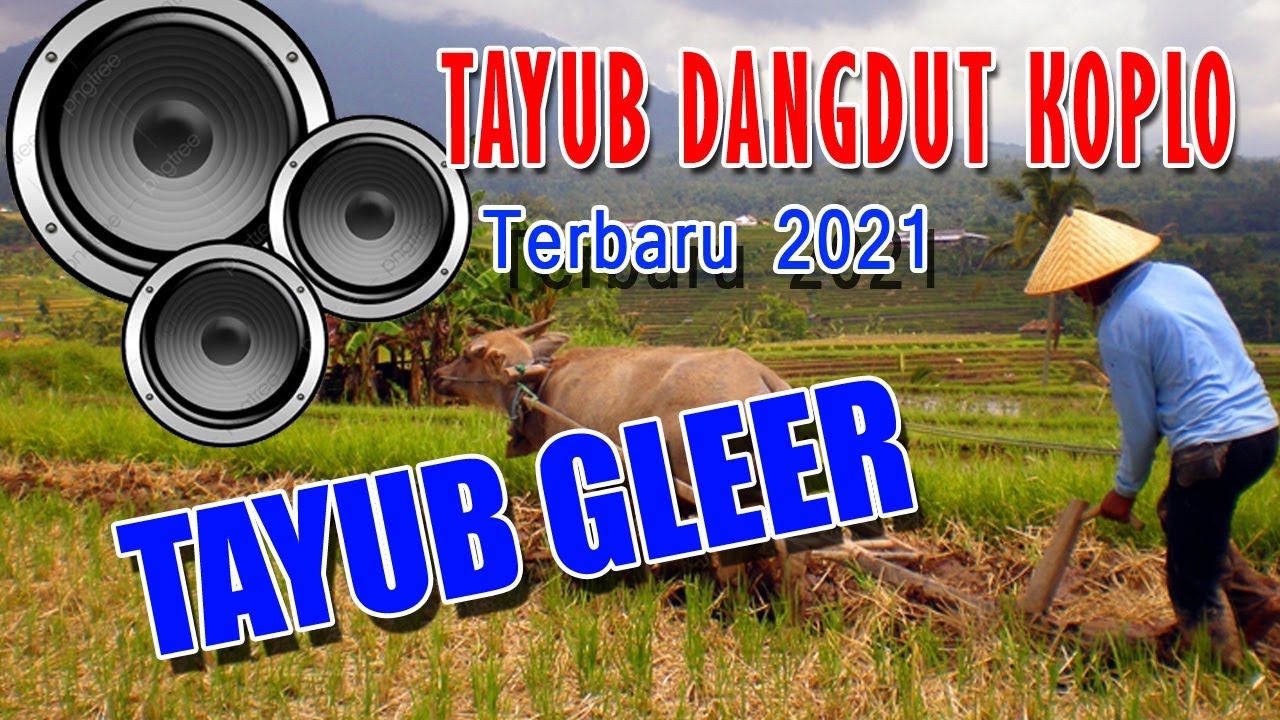 TAYUB GLEER DANGDUT KOPLO TERBARU 2025 COCOK UNTUK SANTAI DIRUMAH