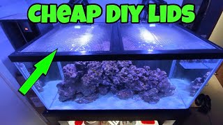 Cheap diy lid for your aquarium to save my jumping freshwater or
saltwater fish. thanks watching. please comment, like, share,
subscribe and hit that not...