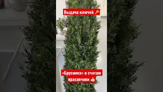 Выдача ключей от «Брусники»