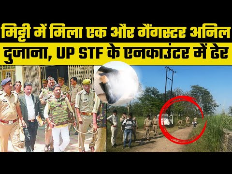 UP gangster Anil Dujana killed in an encounter, गैंगस्टर अनिल दुजाना को STF ने किया ढेर| UP News