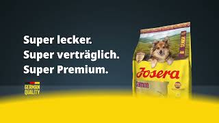 Josera Mini Senior Salmon – Das getreidefreie Trockenfutter für ältere, kleine Hunde mit Lachs