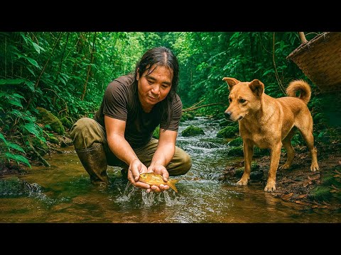 Heavy Rain Catching Crabs And Fish Bee Stings Finding Wild Food Surviving In The Jungle