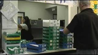 How Eyeglasses Are Made How Billions Of Eyeglasses Are Made Inside Massive Optical Manufacturing Factory