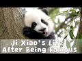 Ji Xiao's Life After Being Famous | iPanda