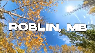 Fall in Roblin, MB🇨🇦 #roblin #parkland #manitoba #canada #cartrip 
