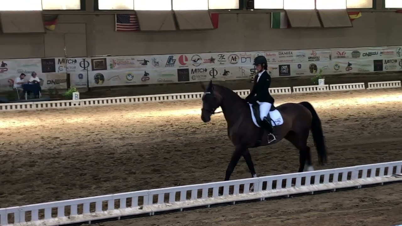 Dressage F110