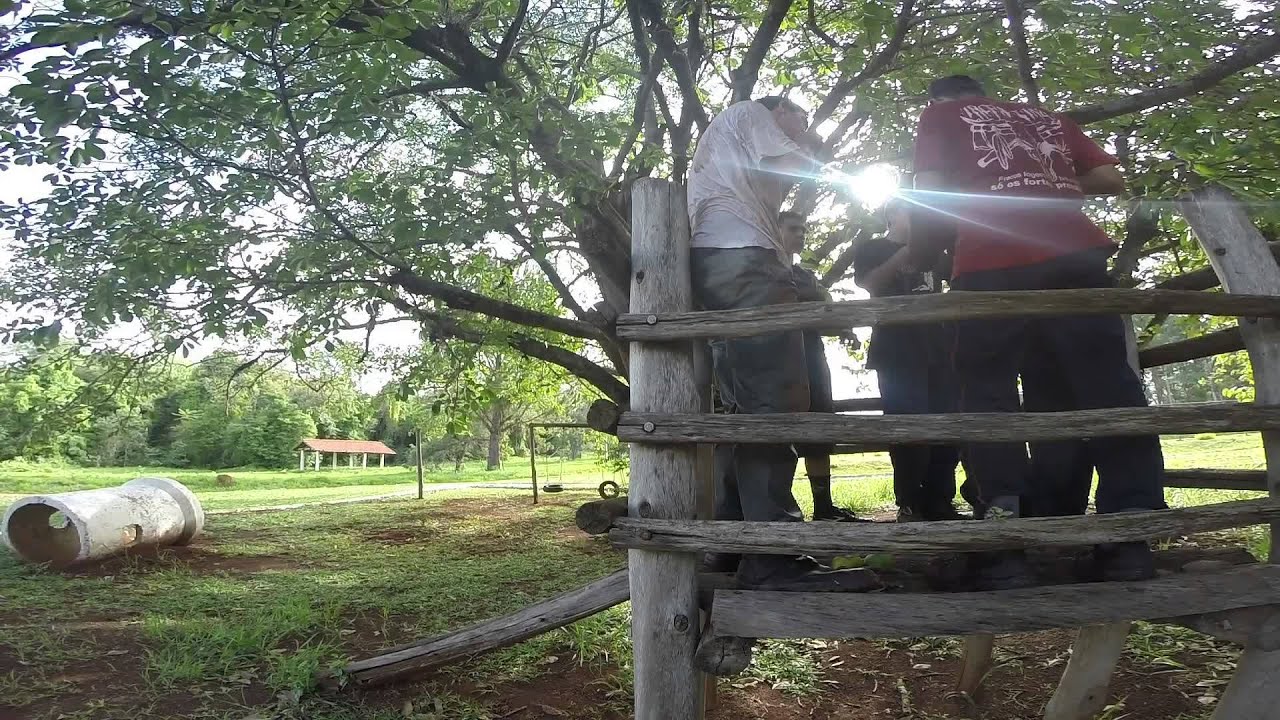 Pista de Obstaculo Patrulha Condor Acampamento Avançado - YouTube