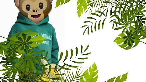 H&M controversy over "Coolest monkey in the jungle" Hoodie