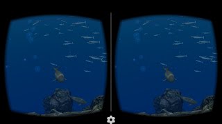Dolphin VR box 360