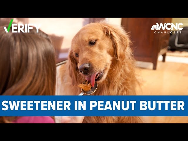 Yes, Some Peanut Butter Is Toxic For Dogs | Verify - Youtube