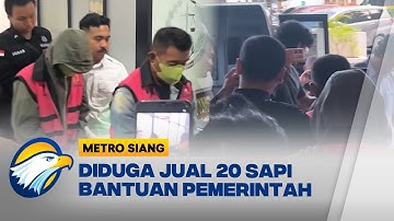 Guru di Serang jadi Tersangka Korupsi Bantuan Ternak Sapi Kementan [Metro Siang]