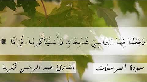سوره المرسلات للقارئ عبدالرحمن زكريا|من صلاه العشاء