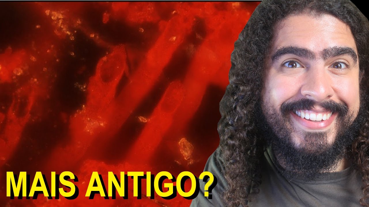 críticos de cine O fóssil mais antigo do mundo!?! (#Pirula 202)