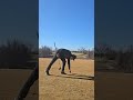 Grant Horvat Swing