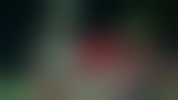 Maneater Developer Diary 3: Evolution of a Shark