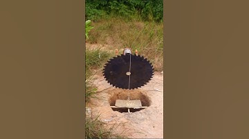 Easy Build Underground Quail Trap-#shortvideo - Deep Hole Quail Bird Trap