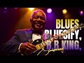 🎸B.B. King’s Inspired Blues Reborn – A Soulful Tribute Like Never Before!👑🎶