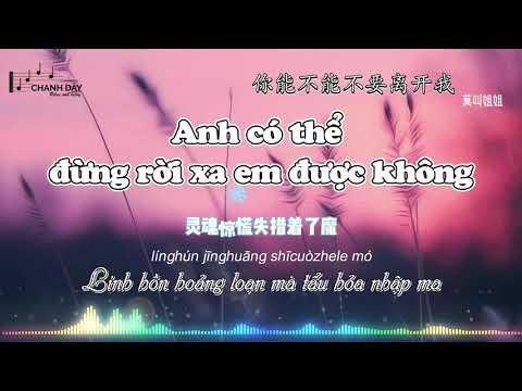 Vietsub ANH CÓ THỂ ĐỪNG RỜI XA EM ĐƯỢC KHÔNG 你能不能不要离开我 莫叫姐姐 Hot Douyin