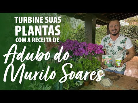 Vídeo: Dicas sobre como fertilizar uma tília: quando você fertiliza calcário