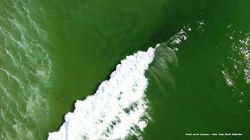 Live Shark Detection System - OPENCV Demo_4