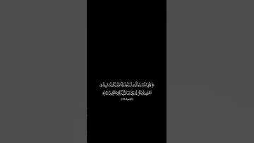 ﴿وَقُلِ الحَمدُ لِلَّهِ الَّذي ﴾ فارس عباد | كروما شاشه سوداء قرآن كريم| كروما جاهزة للمونتاج