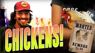 Chickens!!!  Horse Shelter Heroes S4E4