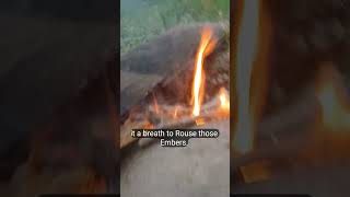start a fire in the rain with dryer lint