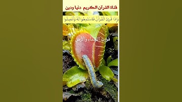 تلاوة نادرة لآيات عطرة من سورة الذاريات ( وفي السماء رزقكم ... للقارئ الباكي   المنشاوي #قران_كريم